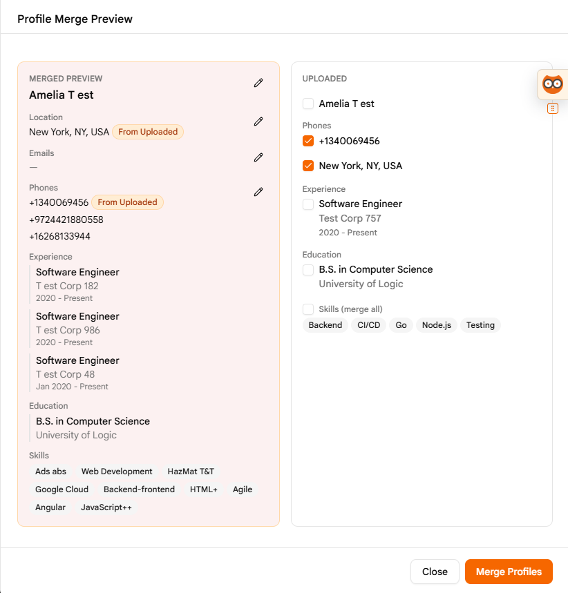 Profile Merge Preview